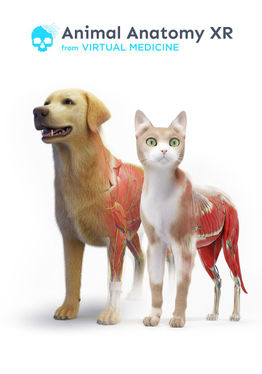 Animal Anatomy XR