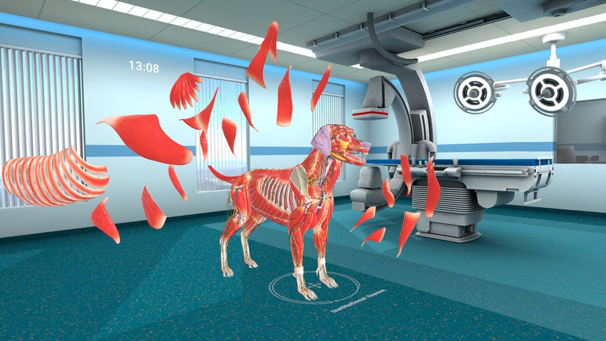 Animal Anatomy XR