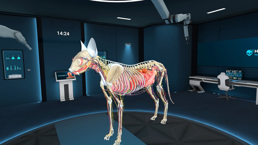 Animal Anatomy XR