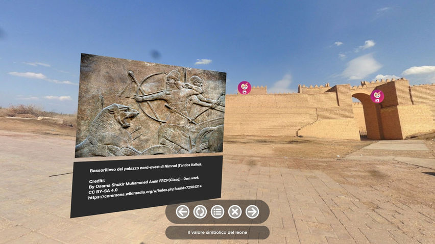 Briedoo VR Client