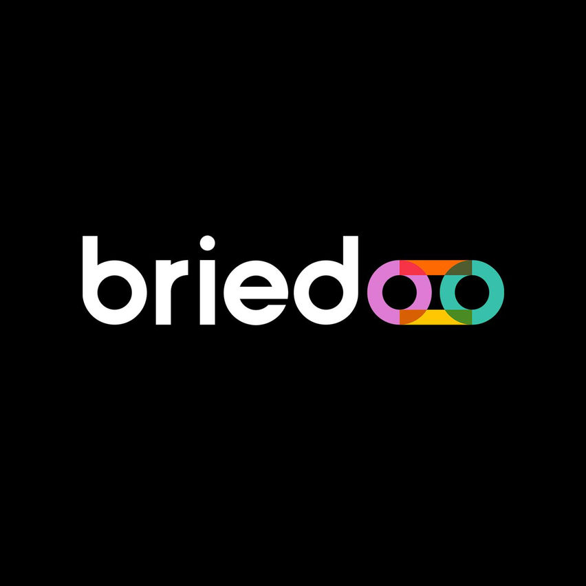 Briedoo VR Client