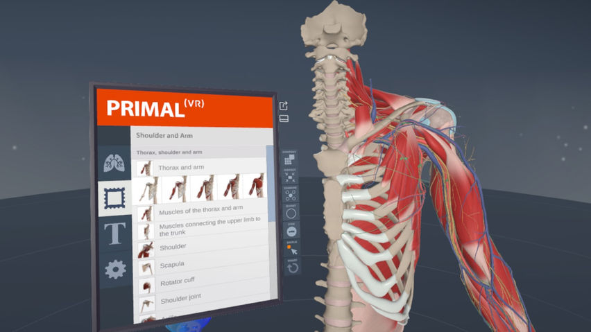 Primal VR