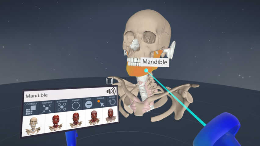 Primal VR