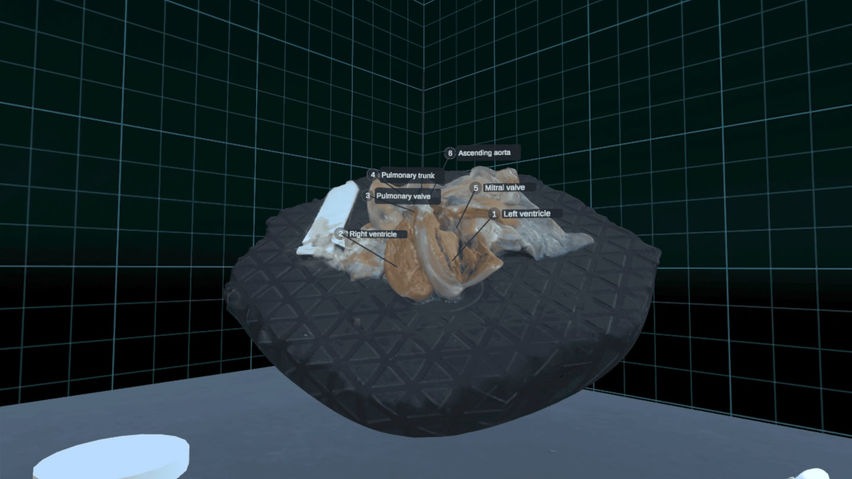 Cardioscape VR
