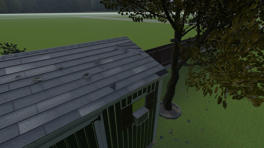 Exam: Damage to Asphalt Shingle Roofing