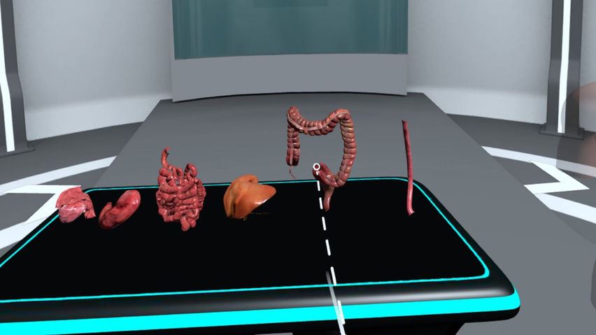 The Human Body Interactive Simulator