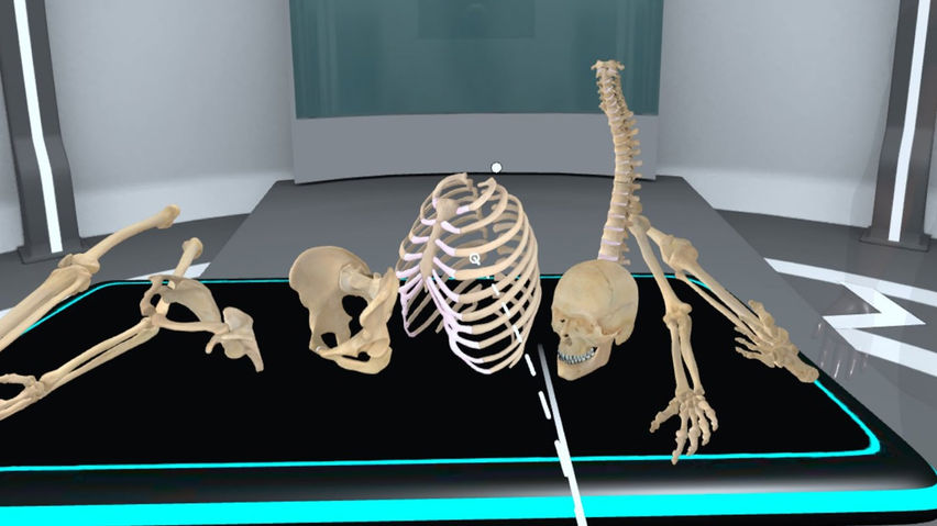 The Human Body Interactive Simulator