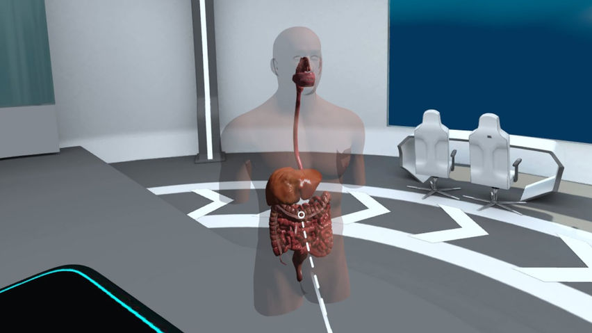 The Human Body Interactive Simulator