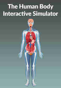 The Human Body Interactive Simulator