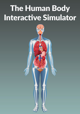 The Human Body Interactive Simulator