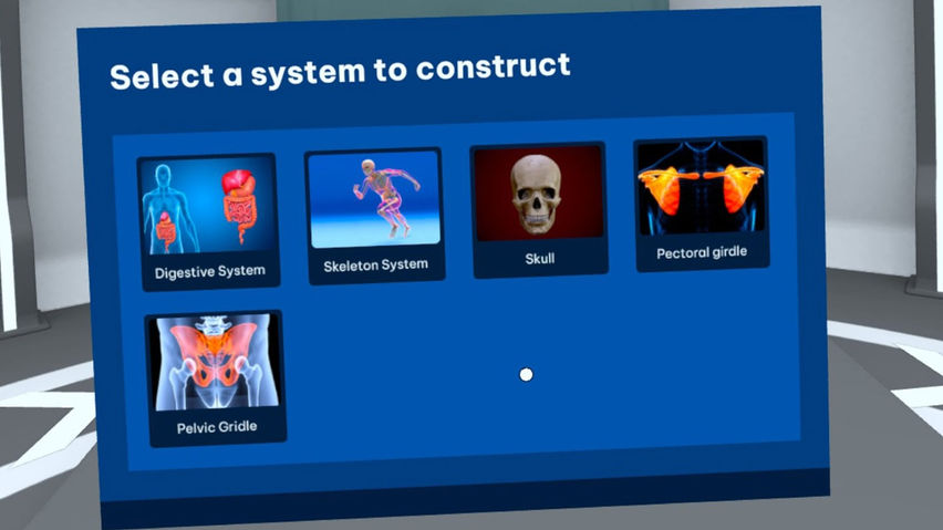 The Human Body Interactive Simulator