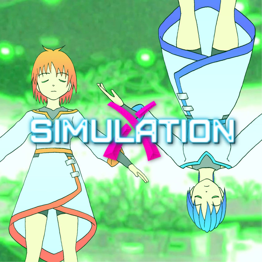 Simulation X