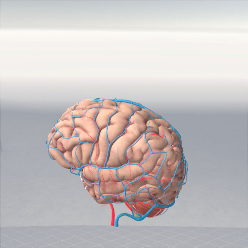 Brain VR