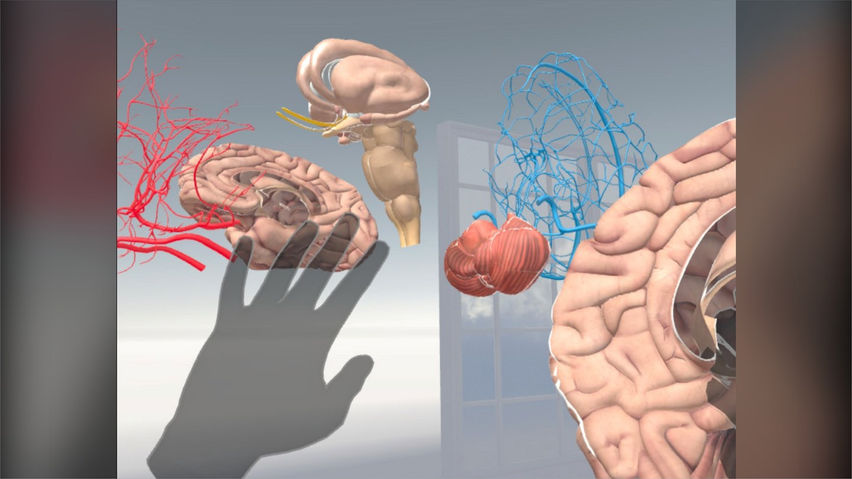 Brain VR