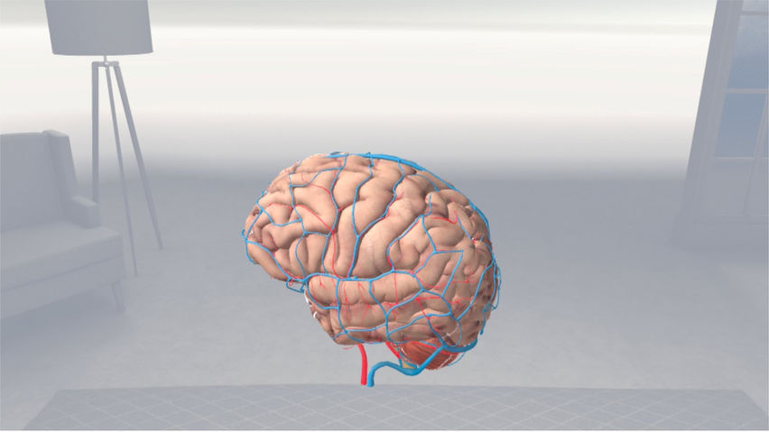 Brain VR
