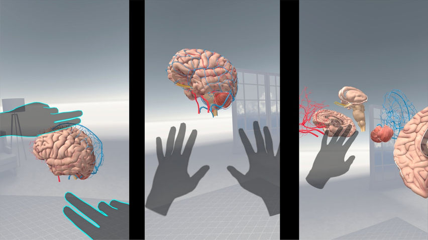 Brain VR