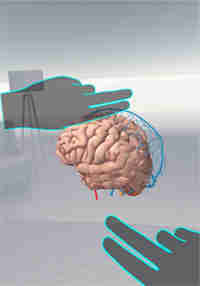 Brain VR
