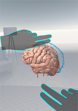 Brain VR