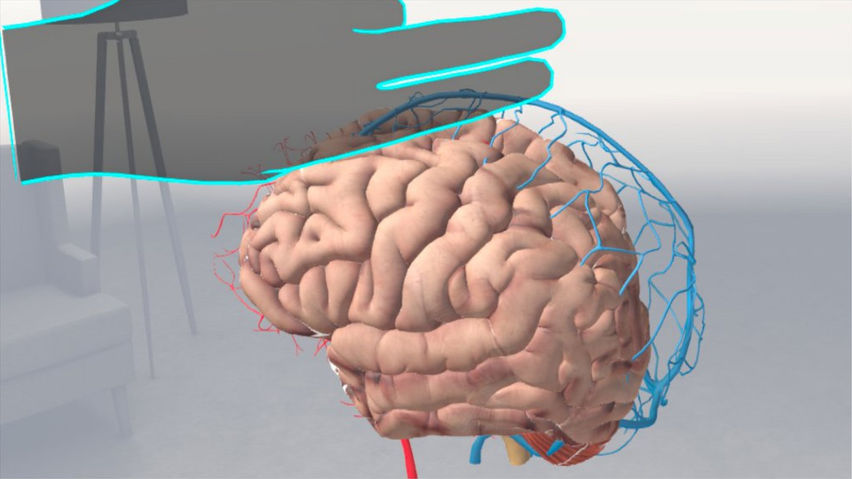 Brain VR