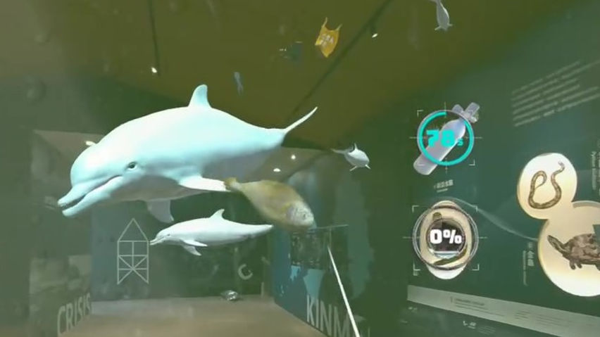 Kinmen Marine Life Exploration 金門海洋-生物探索