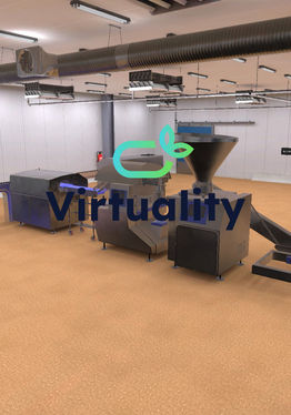 Virtuality