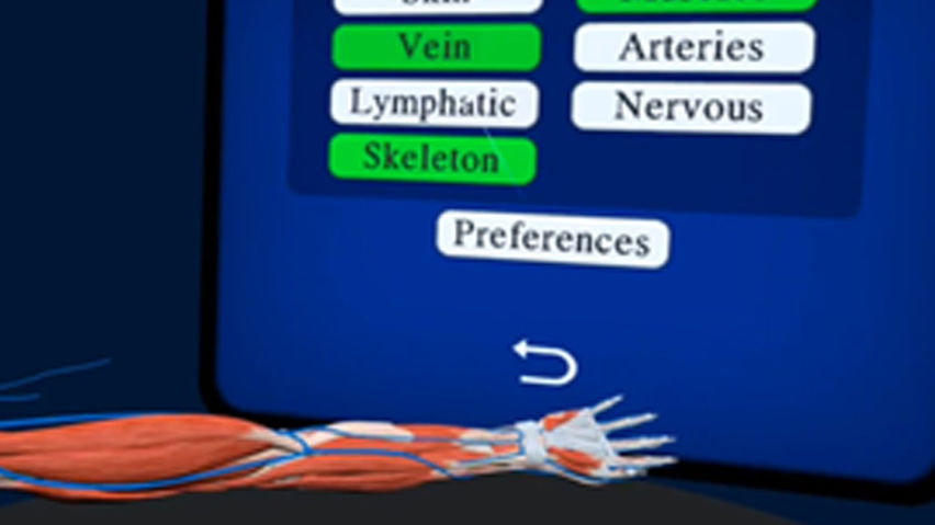 XR Cannulation