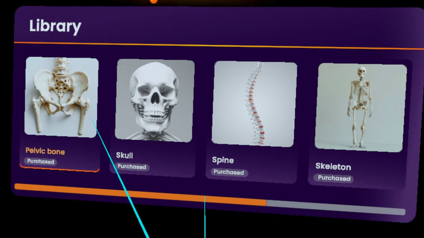 Real Anatomy