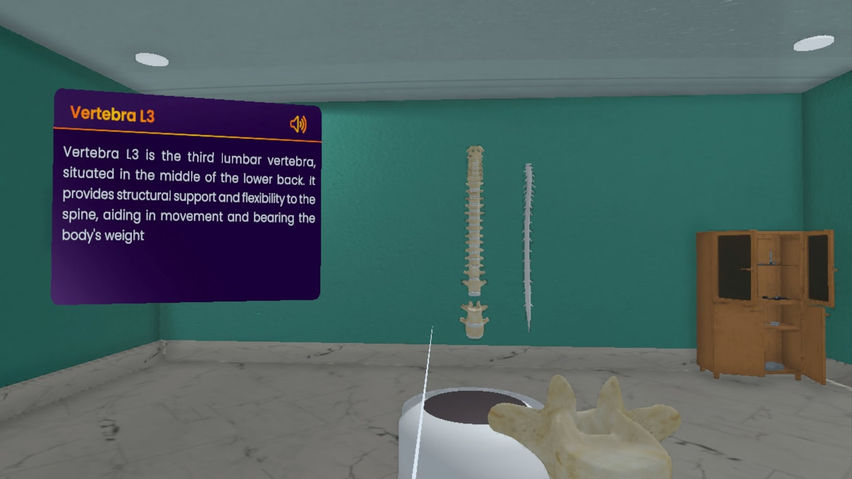 Real Anatomy