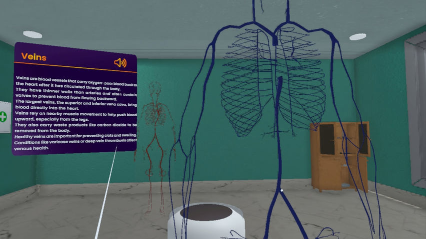 Real Anatomy