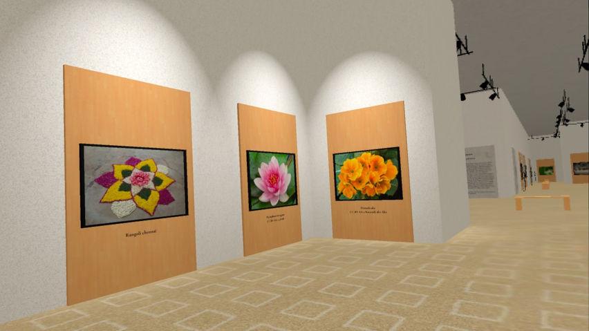 The Museum of All Things