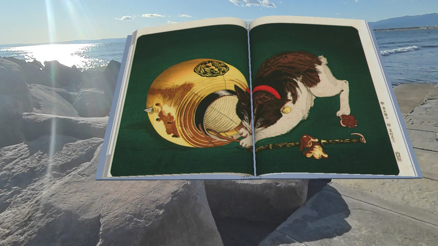 hondana -Virtual Bookshelf-