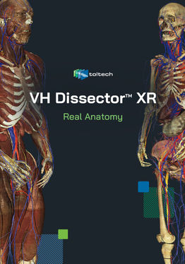 VH Dissector XR