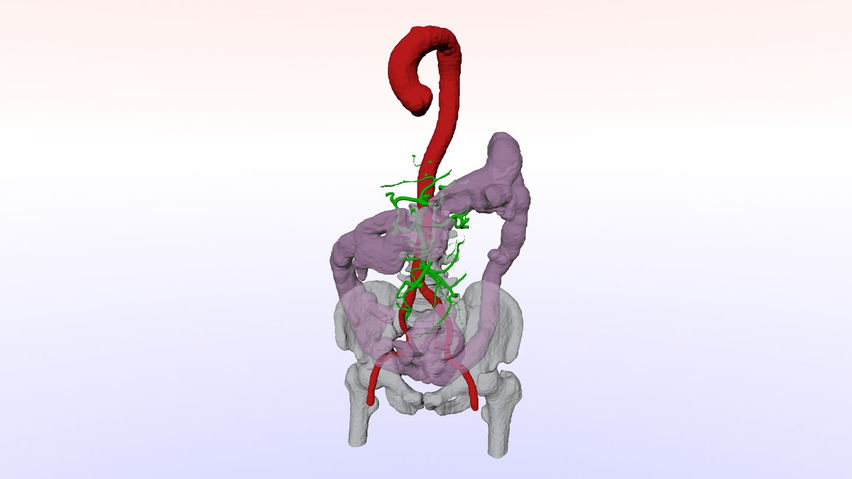 Anatomy Cloud Viewer