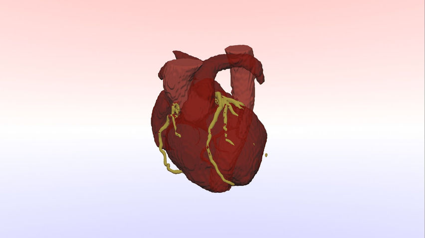 Anatomy Cloud Viewer