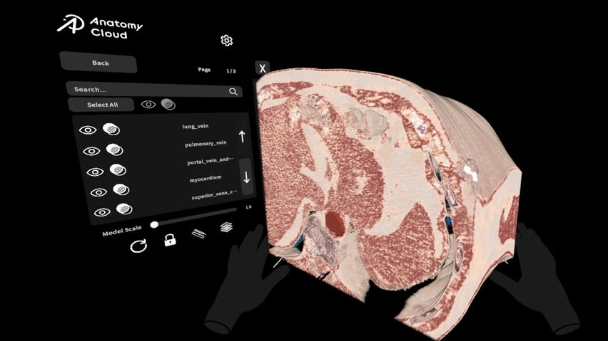Anatomy Cloud Viewer