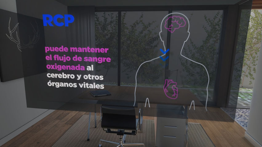 RCP VR