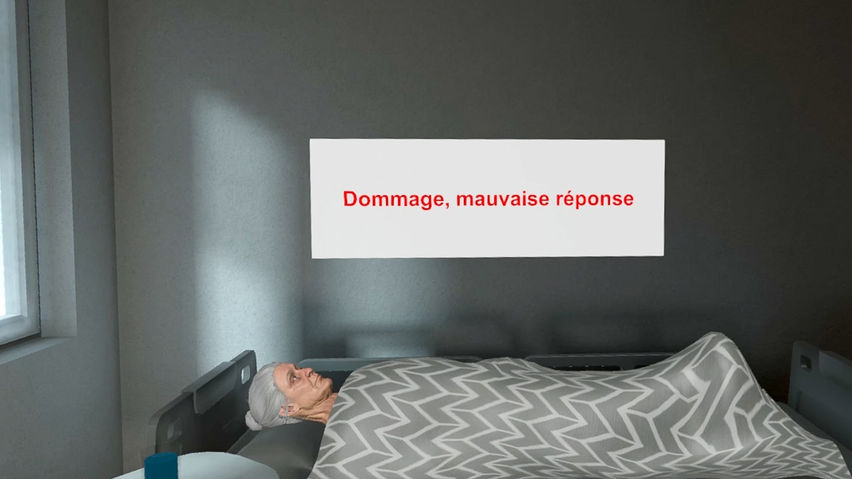 Formation ADVF Bientraitance VR