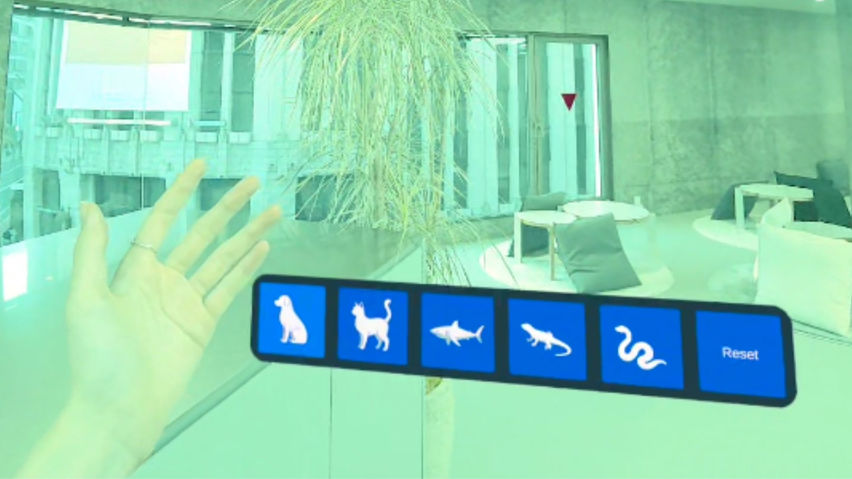 Animal Vision MR