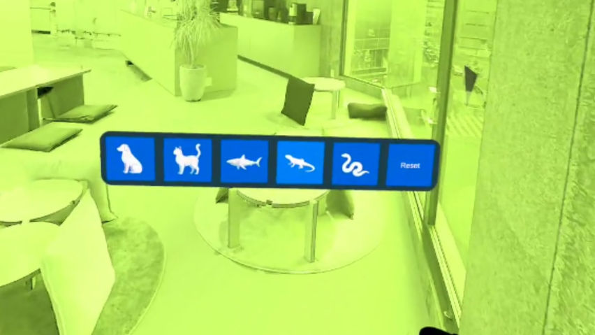 Animal Vision MR