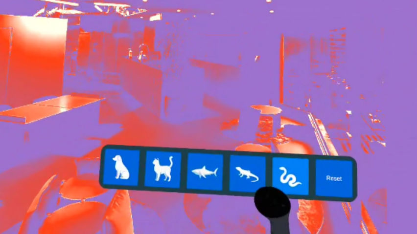 Animal Vision MR
