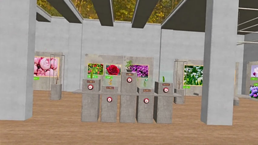 Virtual Verde