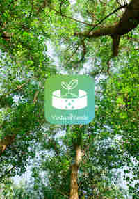 Virtual Verde