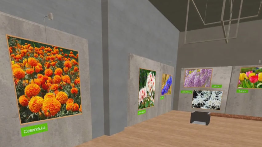 Virtual Verde