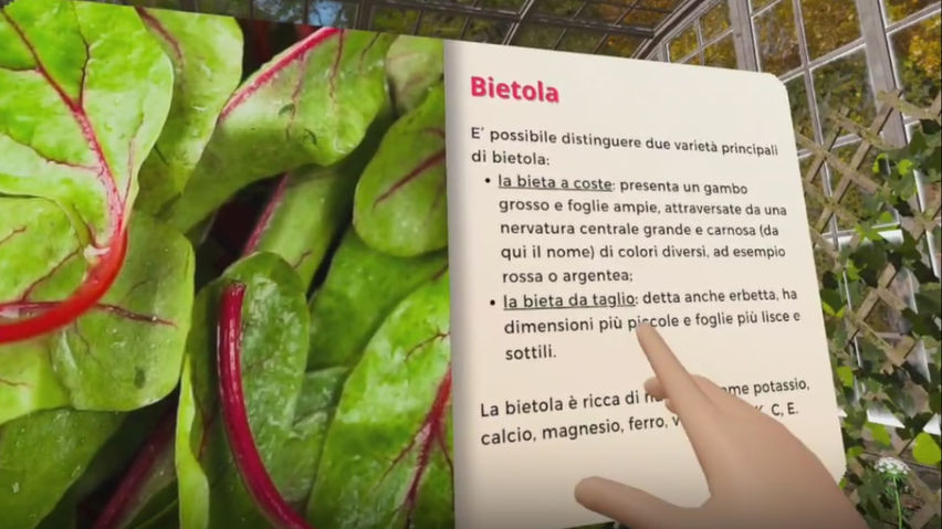 Virtual Verde