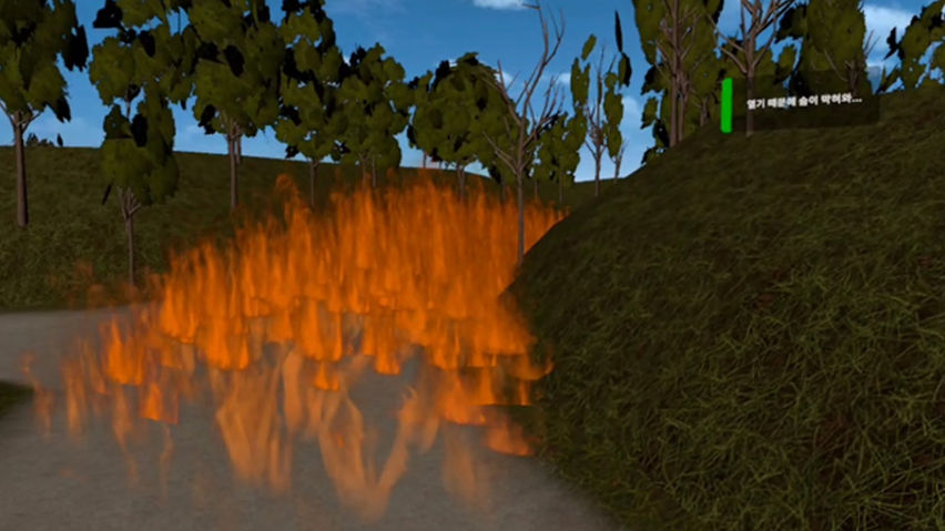 Safety education : Wildfire Evacuation