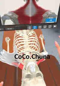 CoCoChuna