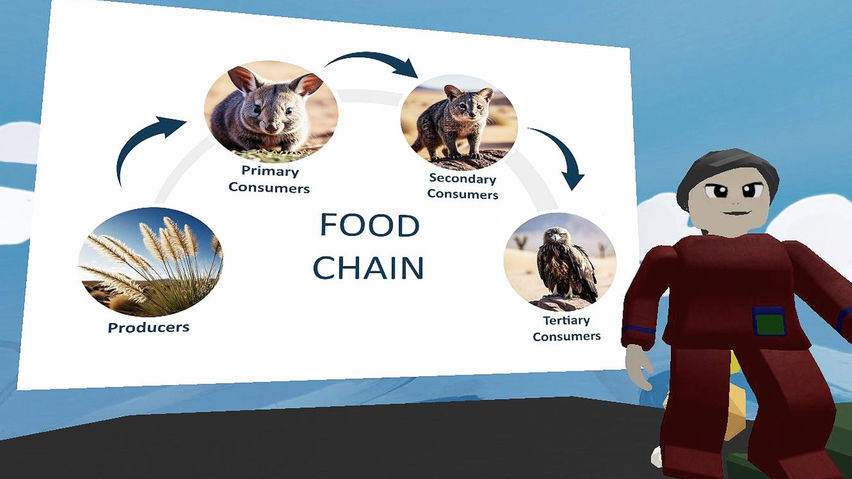 Food Webs
