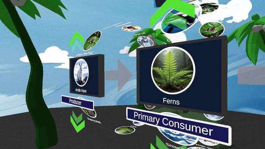 Food Webs