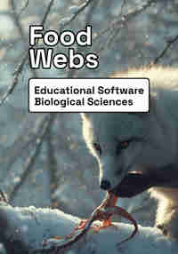 Food Webs