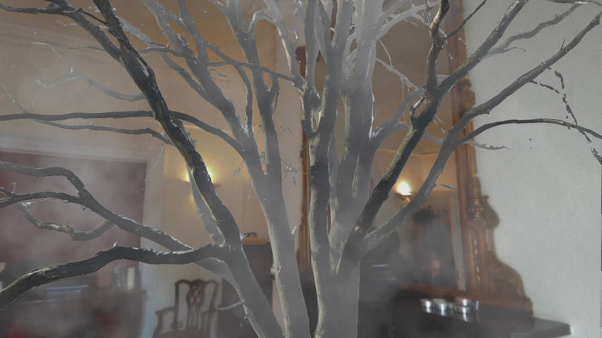 Dreaming: Amy Beach MR